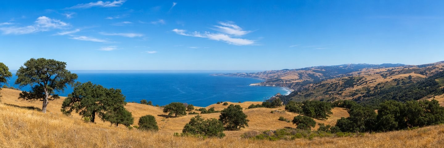 A bright sunny view of the California coast, golden grassland hills with oak trees sweeping down to the deep blue Pacific Ocean